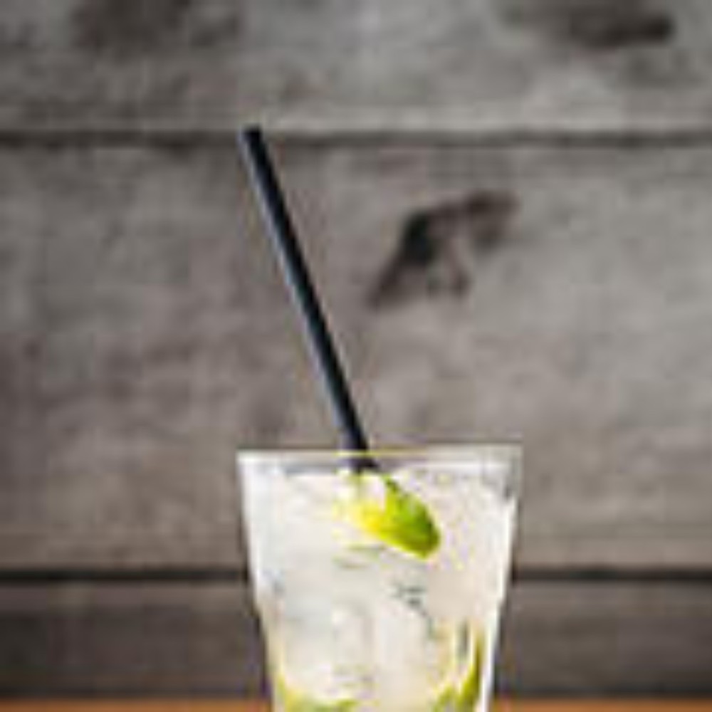 Meet your Posher, Rose